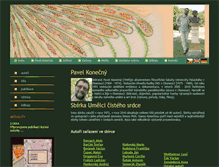 Tablet Screenshot of outsiderartcz.eu